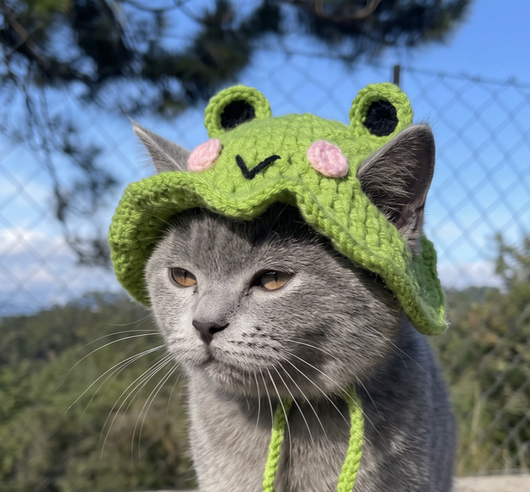 Cute cat hat